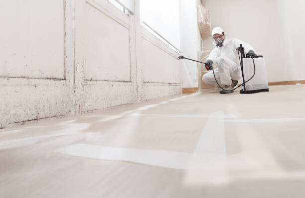 Trusted Crawl Space Mold Removal service in Lafayette Hill, PA - WQB Mold Removal