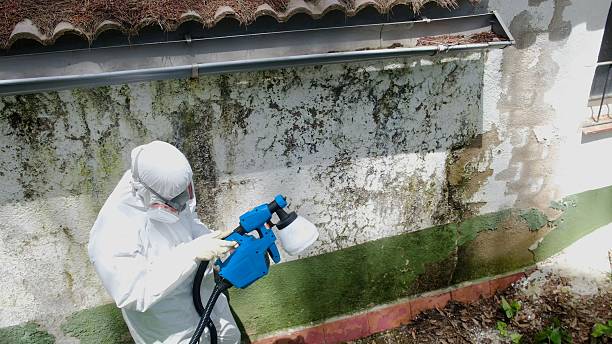 Top rated local Crawl Space Mold Removal specialists in Lafayette Hill, PA
